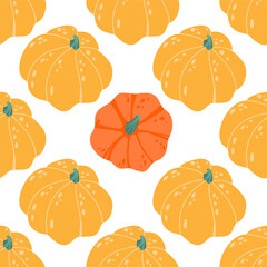Pumpkins  seamless pattern. Colorful pumpkins on a white background. Autumn design for fabric, paper, cover, interior decor.