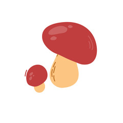 Porcini mushroom, edible forest mushrooms. Fresh fall seasonal boletus composition. Autumn fungus, cap and stalk. Botanical flat vector illustration isolated on white background