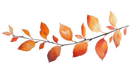 Naklejka premium A branch with many leaves is shown in a white background