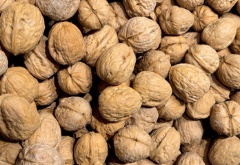 Walnuts background, texture. Walnuts close up. Walnut in a pile of nuts. Pile of nuts, close-up background. Walnut is Juglans (family Juglandaceae)
