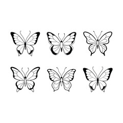 Butterfly a colorful butterfly vector illustrations
