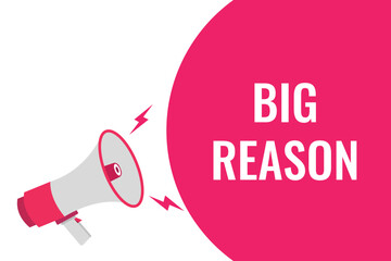 Big Reason button, banner, label, template for website. Big Reason text with colorful megaphone icon