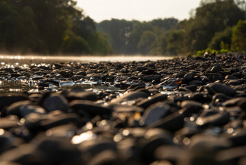 Obraz premium morning at the river