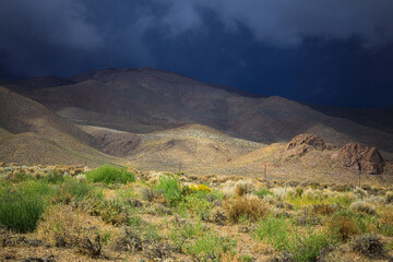 Desert Thunderstorm