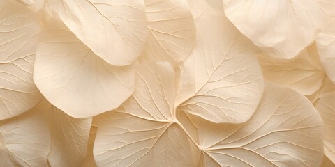 neutral color aesthetic photo with veins of leaf, Nature abstract of flower petals