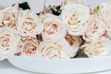 Pale pink roses on a plate on white background. Beautiful rose flowers, still life, love, spring, romance design. Floral table setting, copy space