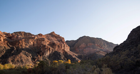 Fototapeta premium The morning sun illuminates a serene desert canyon with layered red rock cliffs and contrasting dark volcanic stones, interspersed with pockets of lush greenery