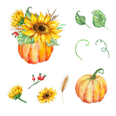 Watercolor pumpkins and foliage illustration set