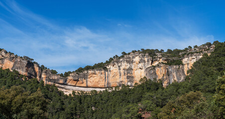 Obraz premium a striking limestone cliff formation rising above a dense forest, under a sky brushed with wispy cirrus clouds, reflecting a serene natural landscape