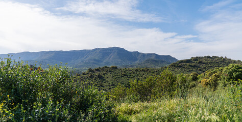 Gentle slopes blanketed with vibrant green shrubbery ascend to a majestic plateau, contrasting with the hazy blue sky in this tranquil landscape.