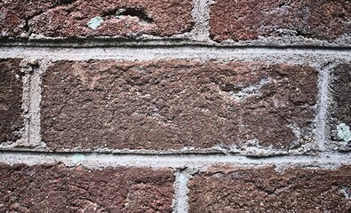 brick wall texture