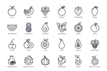 Set of fruits icons vector illustration. icons bundle isolated on white background