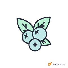 Blueberry icon vector illustration. Blueberry symbol isolated on white background