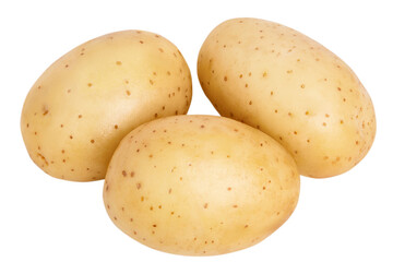 Young potatoes on a blank empty background.