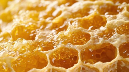 Ultra-detailed shot of a honeycomb, individual wax cells and honey droplets in focus, busy bees working in background, high dynamic range,