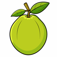 Single guava Fruit on white vector