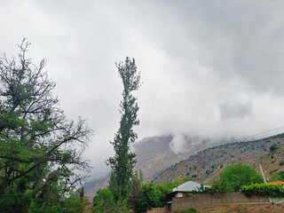 fog in the mountains