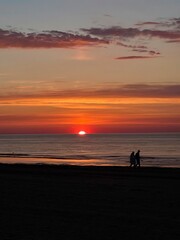 silhouette of a person on a beach in the evening