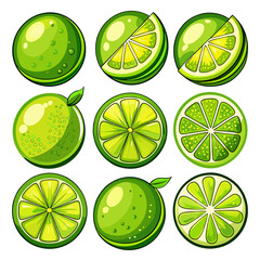 Comprehensive Collection of Citrus Fruits: Detailed Set of Lime, Lemon, and Citrus Slices Illustrations and Patterns, lime, lime and lemon,  set of lime slices, set of citrus fruit, set of slices, set