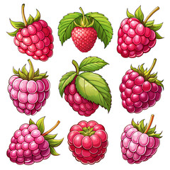 Comprehensive Collection of Berry Illustrations: Seamless Patterns and Backgrounds Featuring Raspberries and Blackberries, set of berries, pattern with berries, background with berries