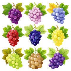 Seamless Patterns and Collections of Grapes and Berries: Detailed Set of Fruit Illustrations and Backgrounds,  set of grapes, collection of grapes, set of berries, seamless pattern with grapes