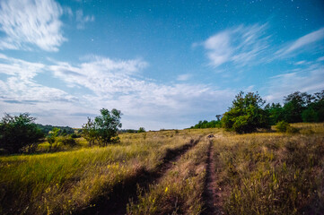 a dirt road leading through a field of dry grass, against a blue starry sky with white blurry clouds illuminated by a bright moon