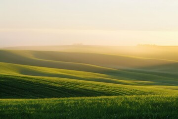 Naklejka premium A serene landscape showcasing gentle fields bathed in the warm glow of sunset, exuding tranquility and natural beauty