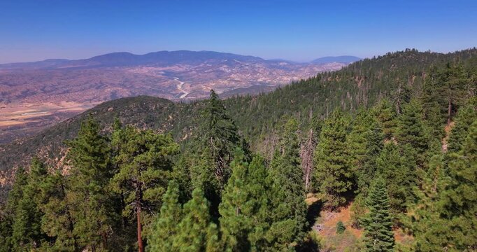 Pine Forest Mountains Cuyama Valley California Aerial Video 
