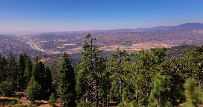 Aerial Drone Flyover Pine Forests Los Padres and Dick Smith 