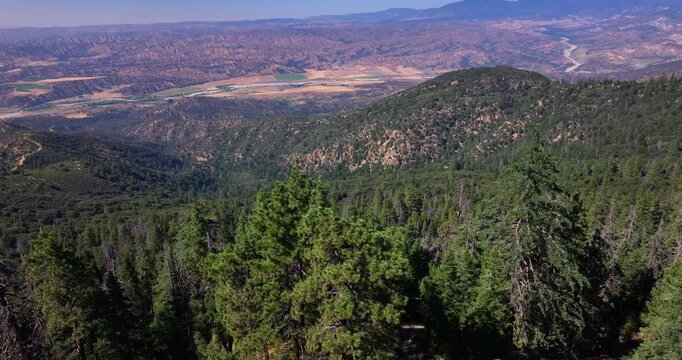Pine Covered Reyes Peak Los Padres Forest Aerial Video 
