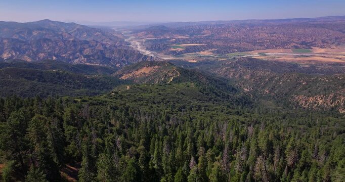 Pine Forests of Los Padres Aerial Video 
