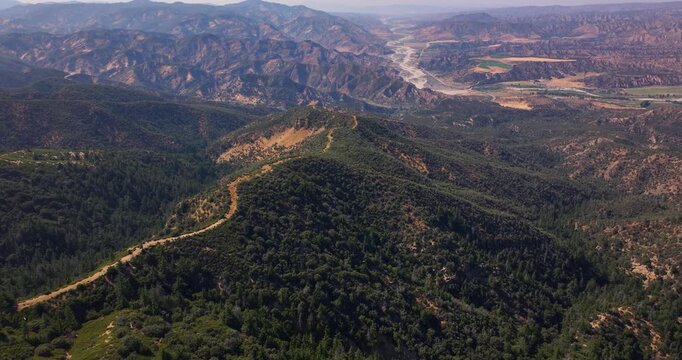 Pine Trees Los Padres Forest Rugged Aerial Video 