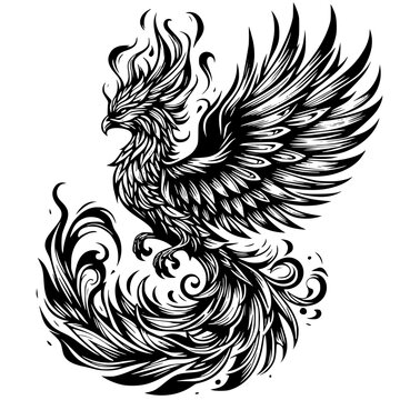 black and white phoenix