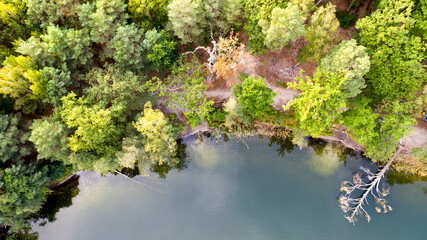 Luftbilder - Kuherde auf der Weihe