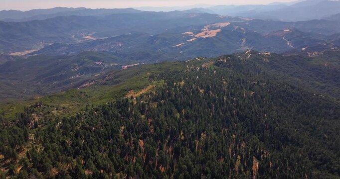 Aerial Drone Pine Mountain Forests Los Padres 