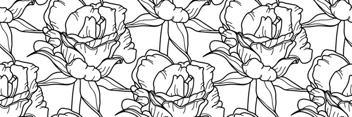 Outline rose seamless pattern. Vector floral horizontal background. Doddle hand drawn rose flower. Design concept for fabric design, textile print, wrapping paper or web site. Vector line illustration