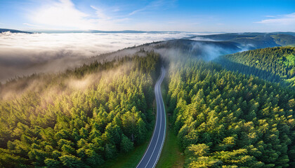 Winding road through dense pine forest, morning mist creating a mystical atmosphere; aerial shot from the drone, top view