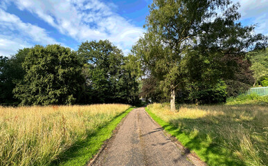 A winding path stretches through a grassy meadow flanked by tall trees, leading towards a dense forest. Clouds drift across the blue sky, casting soft shadows on the landscape in, Mirfield, UK