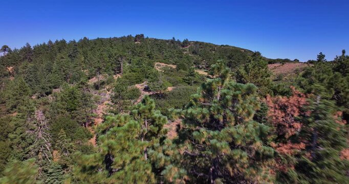 Pine Mountain California Wilderness Aerial Video 