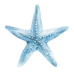 Fototapeta premium PNG A beautiful blue starfish showcasing its vibrant colors and intricate details, perfect for beach or marine-themed designs.