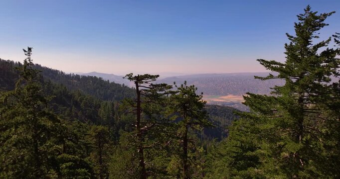Scenic Pine Tree Forests Cuyama Valley California Aerial Video 