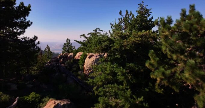Aerial Drone Pine Forests Cuyama Valley California