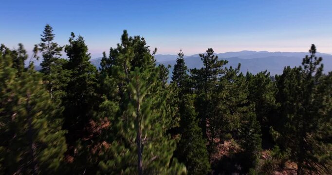 Aerial Reyes Peak Ojai Forest Drone 