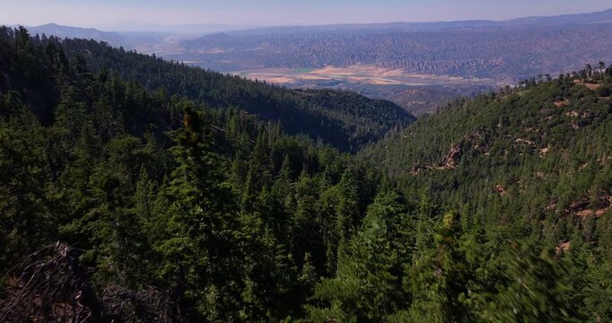 Aerial Over Pine Forests Reyes Peak Ojai California 