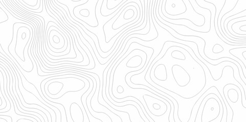 Topography wave line vector grid map. white wave line geography landscape Topo contour map on white background. Geographic landscape mountain relief diagram line wave carve pattern.