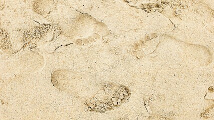 Footprints in the sand evoke holiday beach vacations, leaving marks of adventure and family fun on a sunny summer day