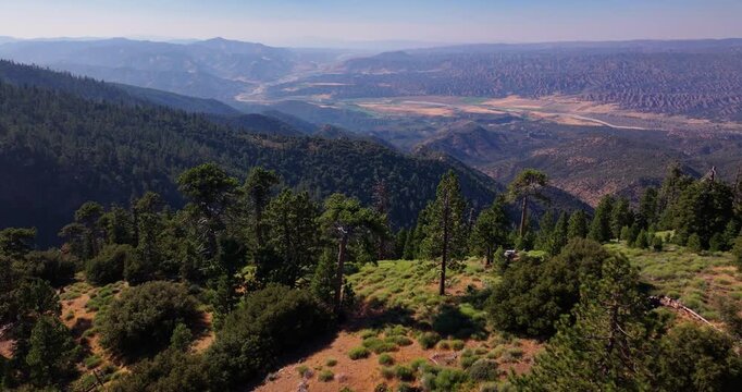 California Pine Forest Reyes Peak Aerial Video 