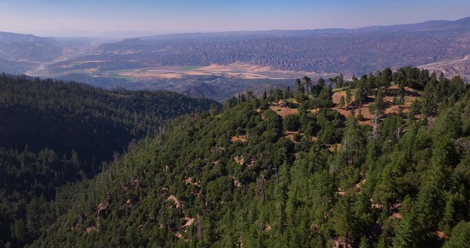 Aerial Drone Pine Forests Mountain California