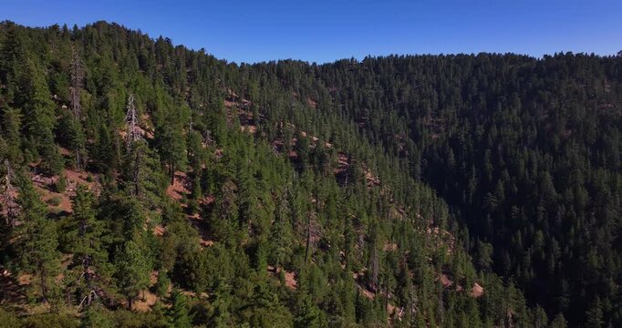 Pine Mountain Forest Aerial California 