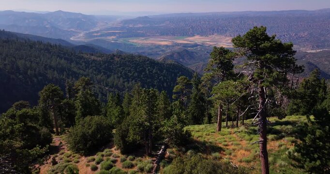 Pine Forested Mountain Peak California Aerial Video